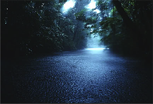 flooded creek